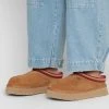 Ugg Tazz - Tøfler - Chestnut 1 Ugg Tazz - Tøfler - Chestnut -Ugg på nett 59db6da3f9294e8ea97337ee5443a567