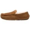 Ugg Ascot - Tøfler - Cognac 1 Ugg Ascot - Tøfler - Cognac -Ugg på nett f0b29fa0c3f64b78b1f6cda9f2ab2599